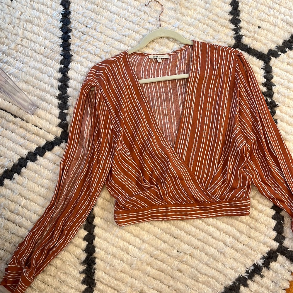NWOT ✨Nashville Boutique✨ long sleeve crop top!